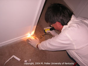 Inspecting for bed bugs